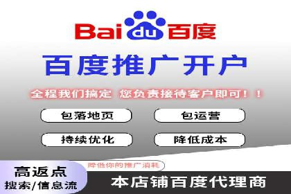 百度竞价推广成功案例解析