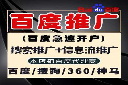 搜索引擎竞价推广实战：行业领先企业的成功秘诀